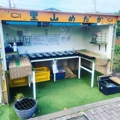 里山公園前メダカ無人販売所　里山めだか8/22出品