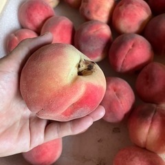 ハネ出し桃　幸茜　小粒　加工用の画像
