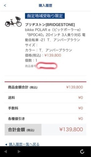 ブリヂストン　ビッケポーラーe