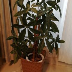 フェイク観葉植物　グリーン　癒やし　造花　キッズ
