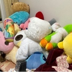 ぬいぐるみ 大量処分