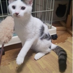 白黒縞くん。とても可愛いお顔で人馴れ抜群です💓