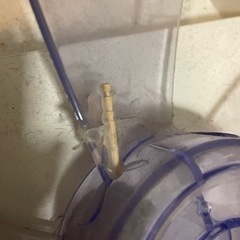 YAMAZEN扇風機の画像