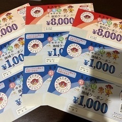 おきなわ彩発見8000円×３枚