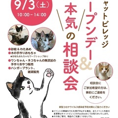 キャットビレッジ　本気の相談会