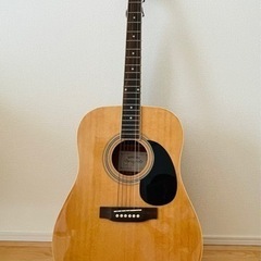 Honey Bee W-15 N アコースティックギター | ハ...