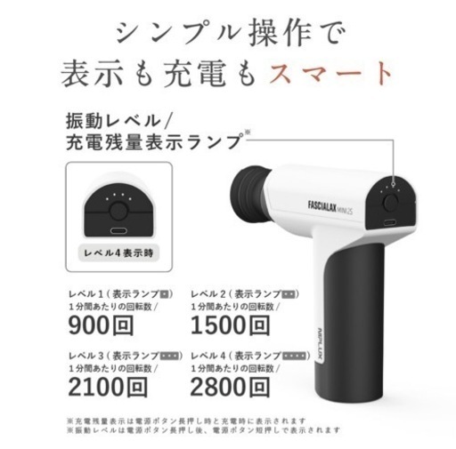 NIPLUX NP-FX21WT-2S WHITE 【公式通販】