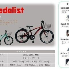 宮城掲載 【店頭引き取り限定】Tamakoshi タマコシ22インチCTB子供用