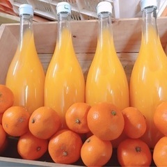 飲食店の方へ！！　みかんジュース納品させてください！