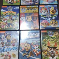 決定 パウパトロールDVD シーズン3  9枚セット