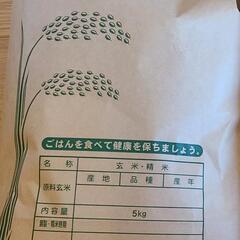 お米 (精米済み)ななつぼし 5kg