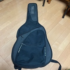 ritter エレキギター　ソフトケースの画像