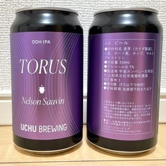 TORUS MOSAIC / うちゅうブルーイング