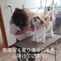 トリミング　ハウス　やぶき