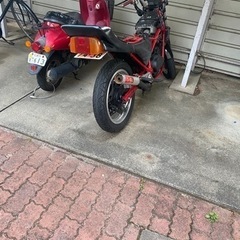 vt250f mc08の画像