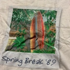 ベビーギャップ　キッズ　Tシャツ　サイズ95センチの画像