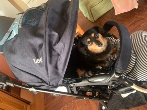 Lee  ベビーカー