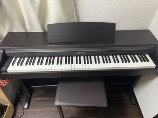 【最終値下げ】CASIO(カシオ) CELVIANO(セルヴィアーノ) AP200 オークウッド調 美品 