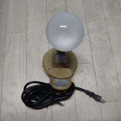EARTH MAN アースマン センサーライト 　シングル　LS...