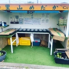 里山公園前　メダカ無人販売所　里山めだか　8月23日出店