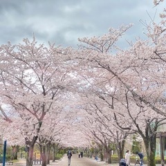 ツーリング仲間募集👯