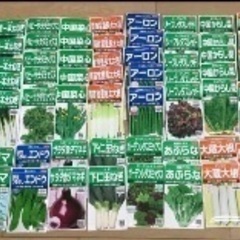 野菜の種　(86袋)