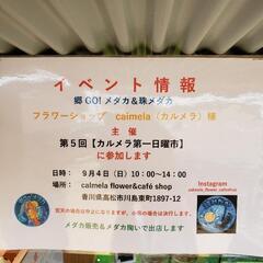 メダカ展示販売、メダカ掬いをします。