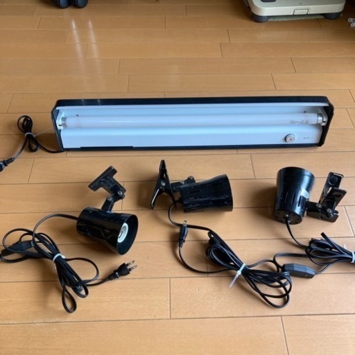 爬虫類　小動物　小鳥など　飼育セット