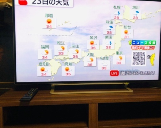 REGZA50インチ