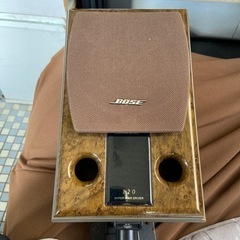 BOSE 120