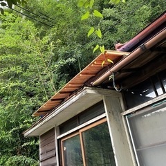 【ペット可！屋内外DIY OK初期費用激安！】✨大家直接募集✨横...