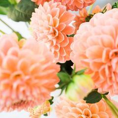 【代々木上原 / 幡ヶ谷】季節の花束 9月フラワーデザイン教室開催