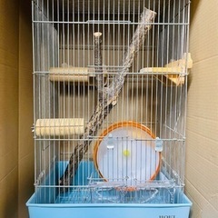 【受け渡し決定】リスくんのマンションの画像