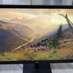 マーシャルループ　デッキ　絶版スリーブ付 マーシャルループデッキ絶版スリーブ付