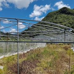 簡易ハウス譲ります!