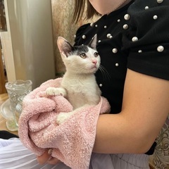 小さな男の子♡里親様決まりました