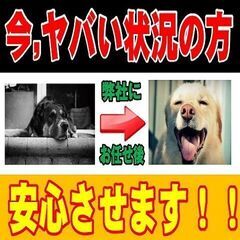休日なんで自分だけ働いてんの～。。。周りみたいに遊びたい！！という方☆ココおススメです(*'▽')の画像
