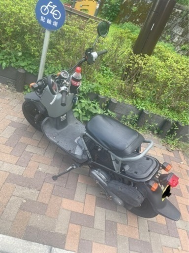 ホンダ　ズーマー　50cc 原付
