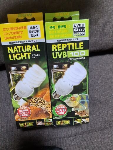 爬虫類用ランプ