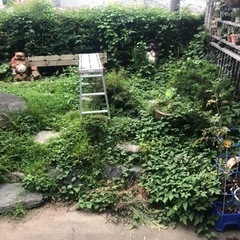草むしり募集　時給支払います。