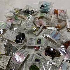 海洋堂、チョコエッグ、日本の動物、動物ペット、コレクションの画像