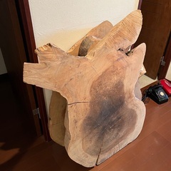 切り株 3枚の画像