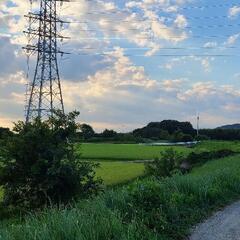 キャンプ - メンバー募集