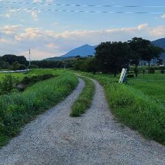 キャンプ − 茨城県