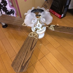 オシャレなシーリングファン！