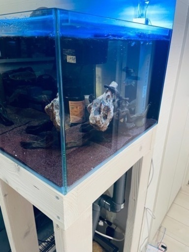 海水魚OF水槽　300×450×450 配管セット　オーバーフロー