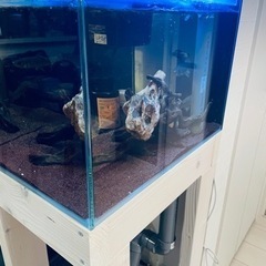 海水魚OF水槽　300×450×450 配管セット　オーバーフロー