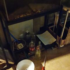 🚰60センチ水槽と60センチ水槽台🚰の画像