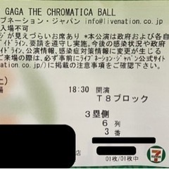 早い者勝ちLady Gaga Chromatica Ball S...