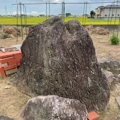 庭石差し上げます^_^